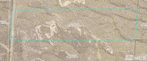 Lovelock Land with Development Potential