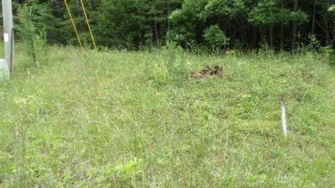 Wilder, TN Wooded Mountain Land