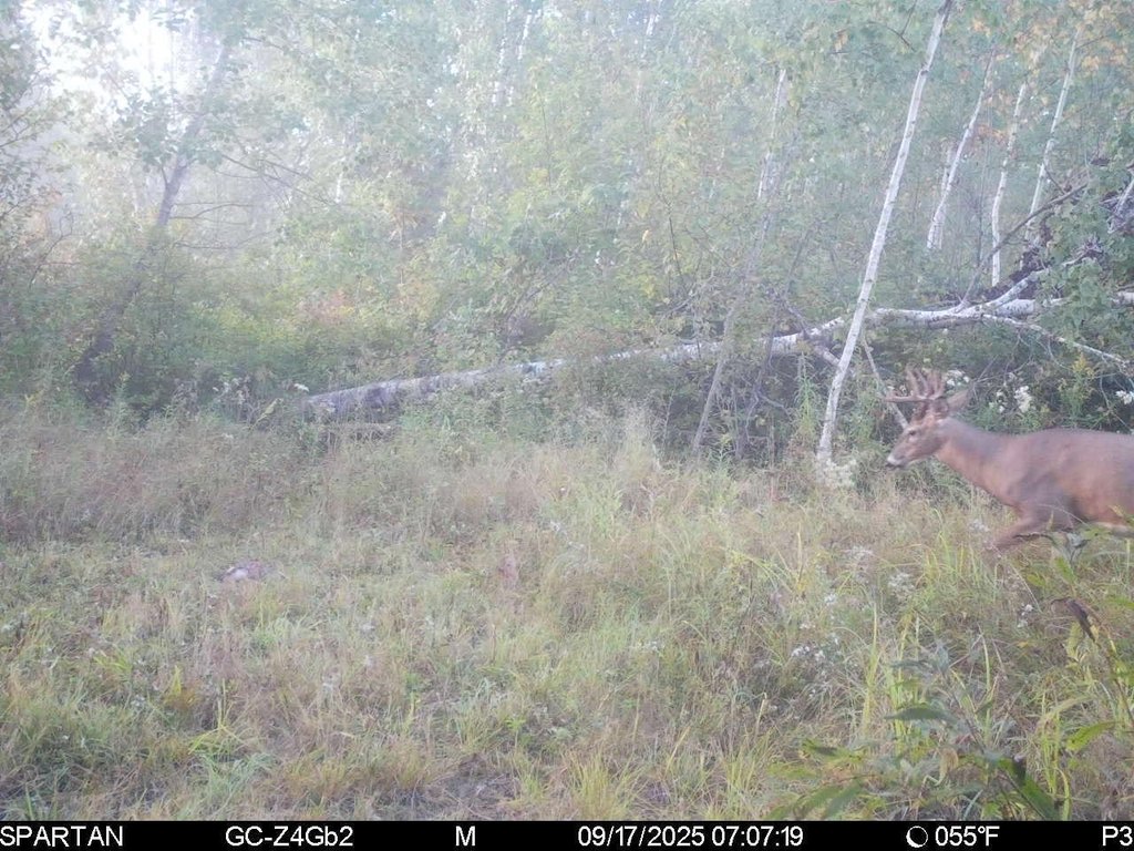 Picture 27