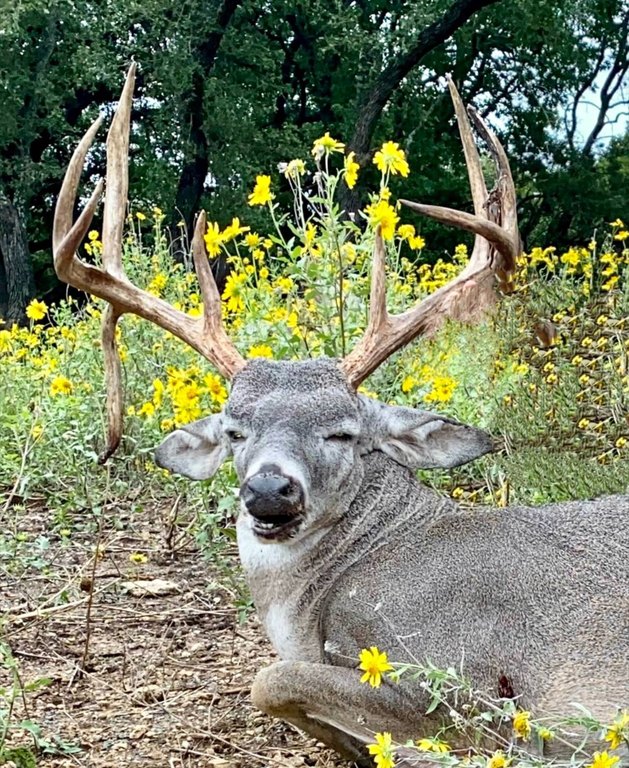 Picture 46