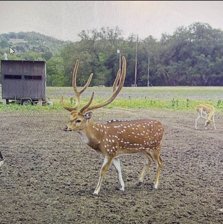 Picture 47