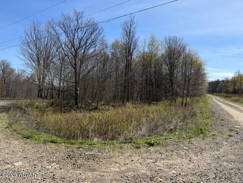 Secluded Wooded Lot in Shunk, PA