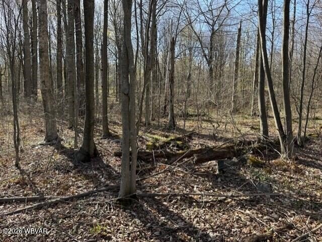 Picture 10