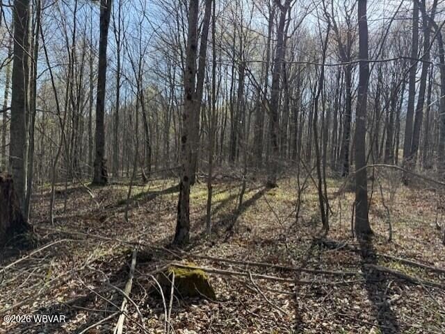 Picture 8