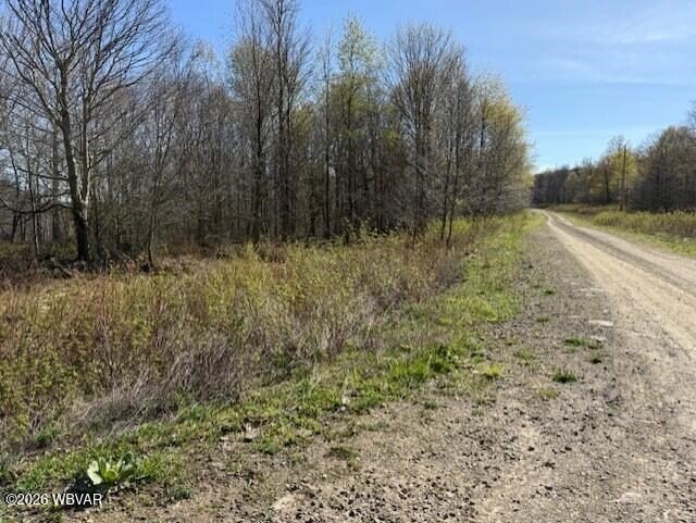 Picture 4