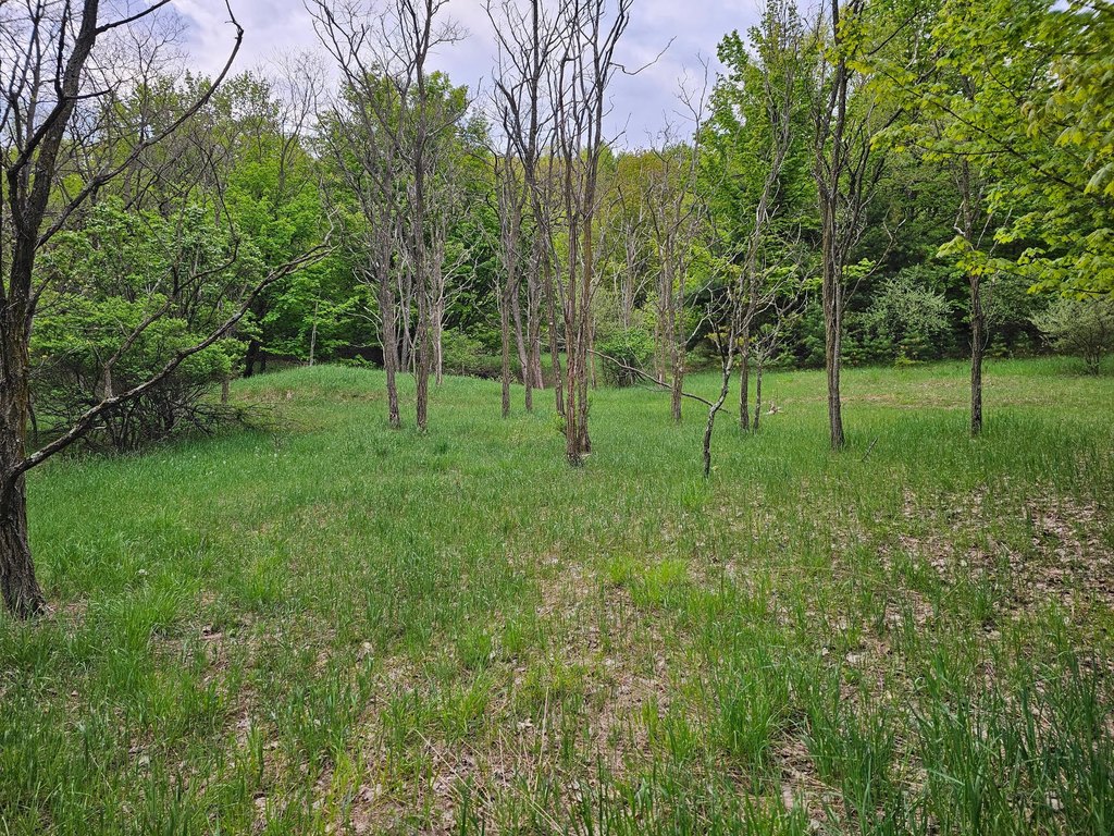 Picture 4