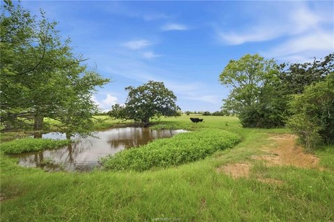 LAND - Franklin, TX