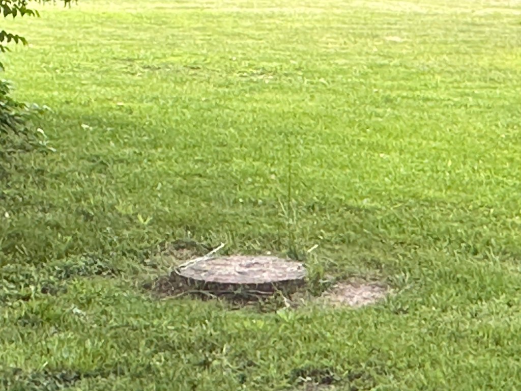 Picture 7