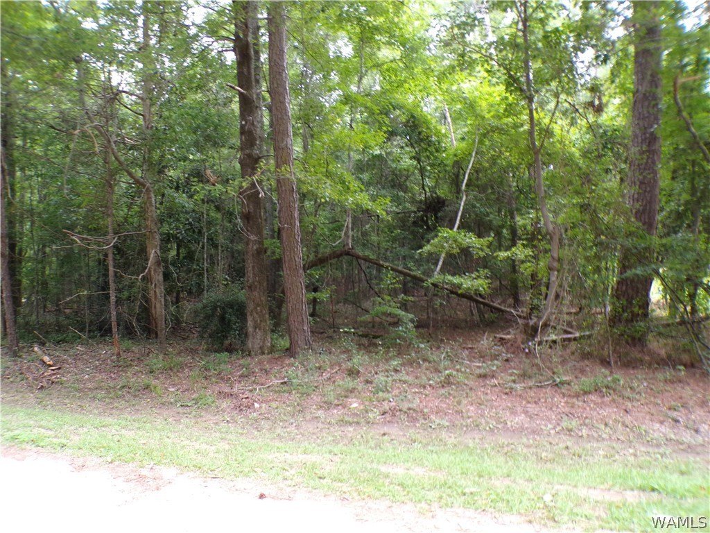 Picture 2