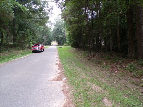 LAND - Fayette, AL