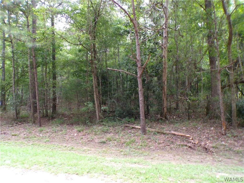 Picture 3