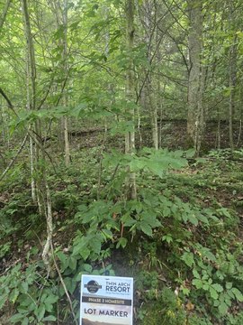 Land, Stanton, KY