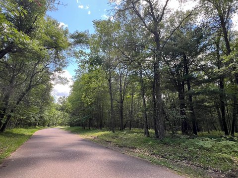 Wooded Recreational Land Parcel