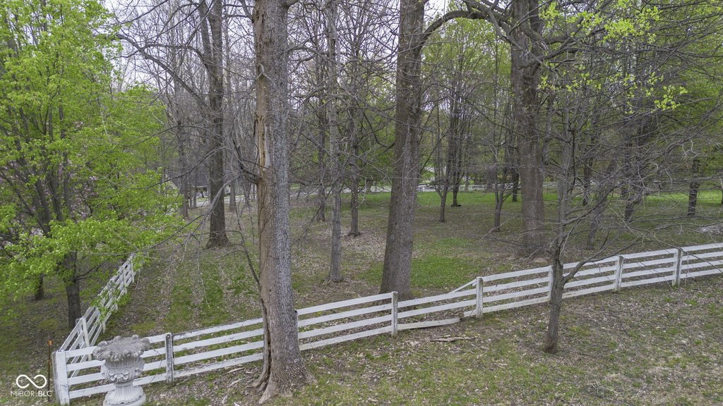 Picture 8