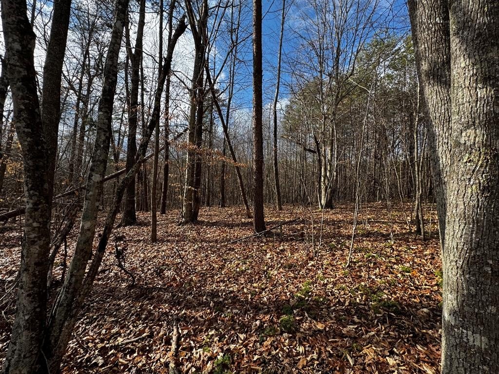 Brookneal, VA Hunting Land