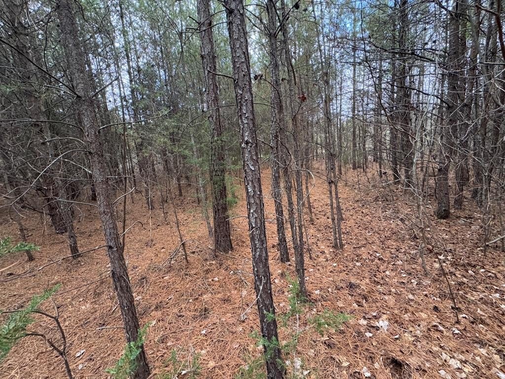Picture 14