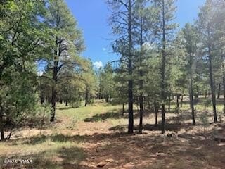 Land, Happy Jack, AZ