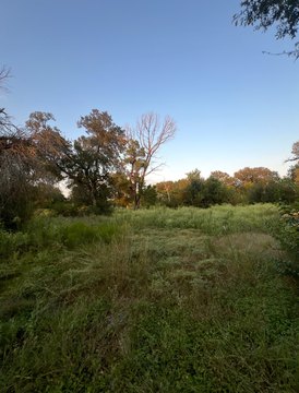 Residential Land in Chalk Bluff