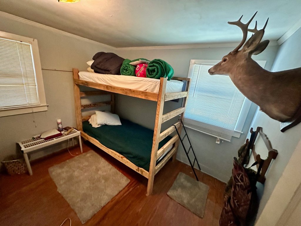 Picture 16