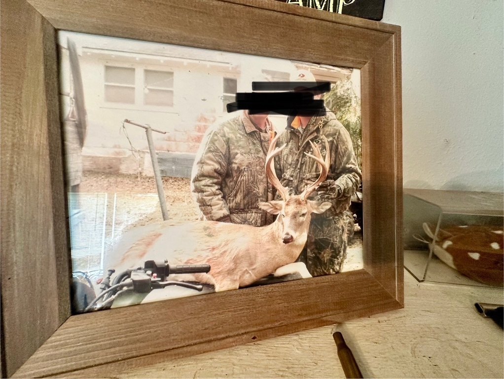 Picture 13