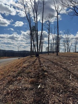 Hilltop Residential Building Lot