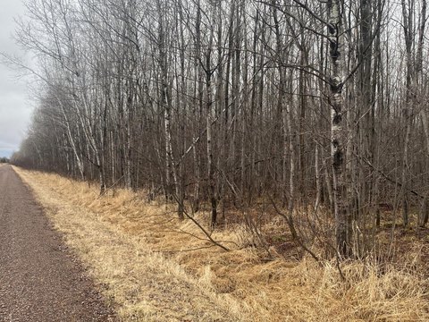 40 Acres in Ogema, WI