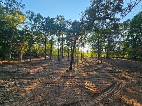 Malakoff, TX Wooded Land