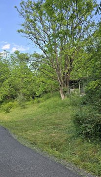 Recreation Land Parcel with Creek Frontage