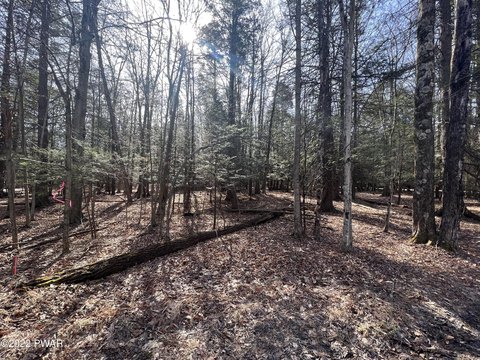 Land, Lake Ariel, PA