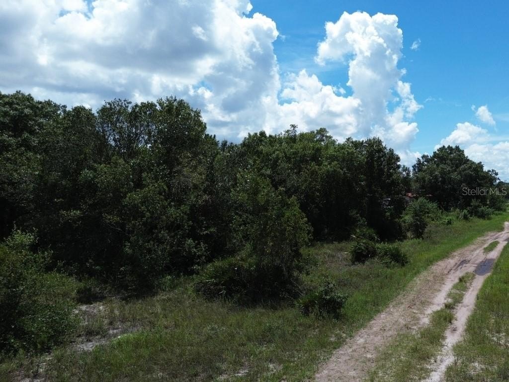 Picture 6