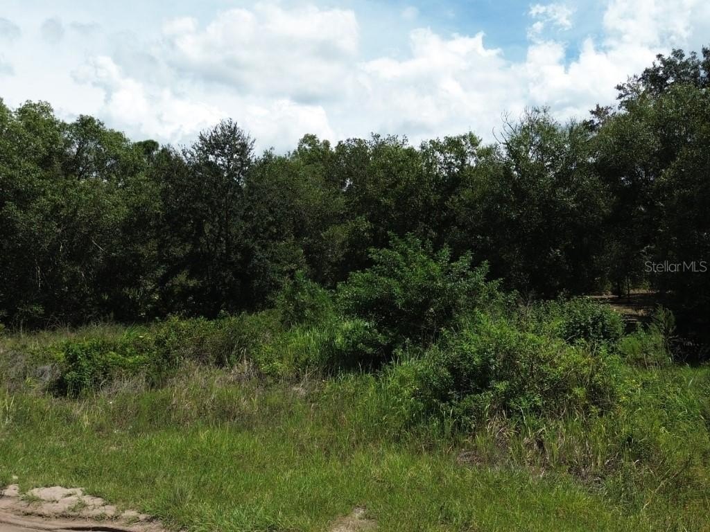Picture 9