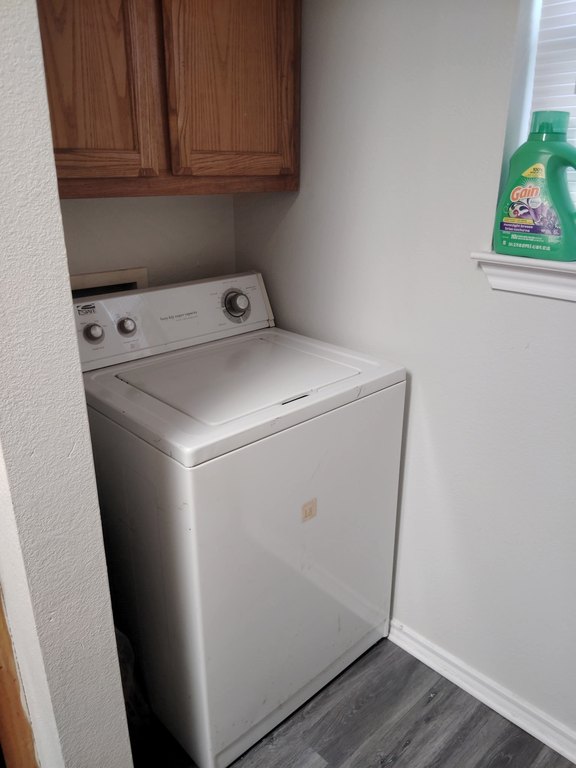 Picture 8