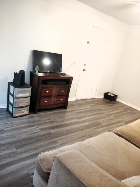 Picture 3