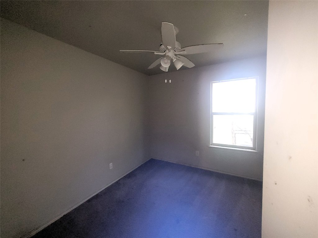 Picture 21
