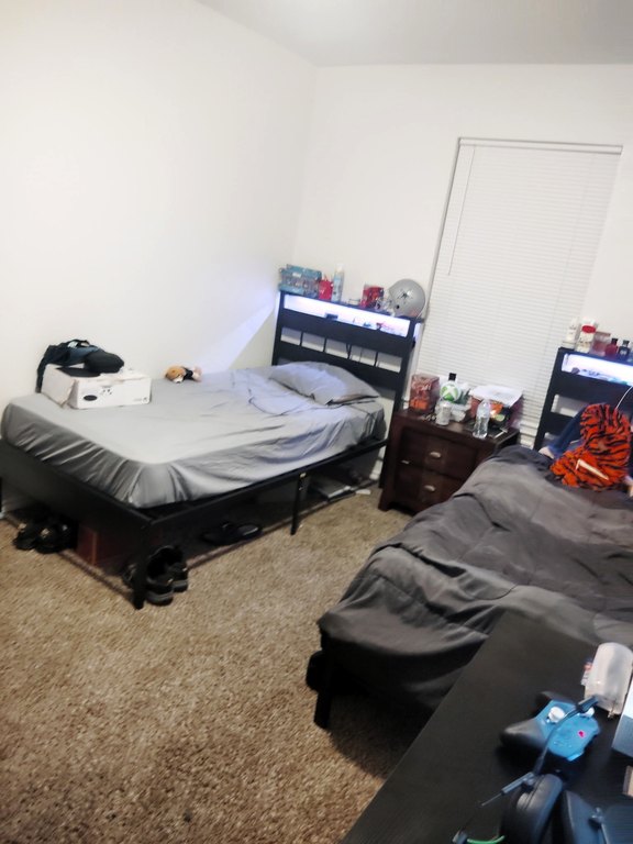 Picture 12