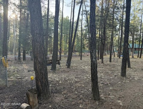 Land, Lakeside, AZ