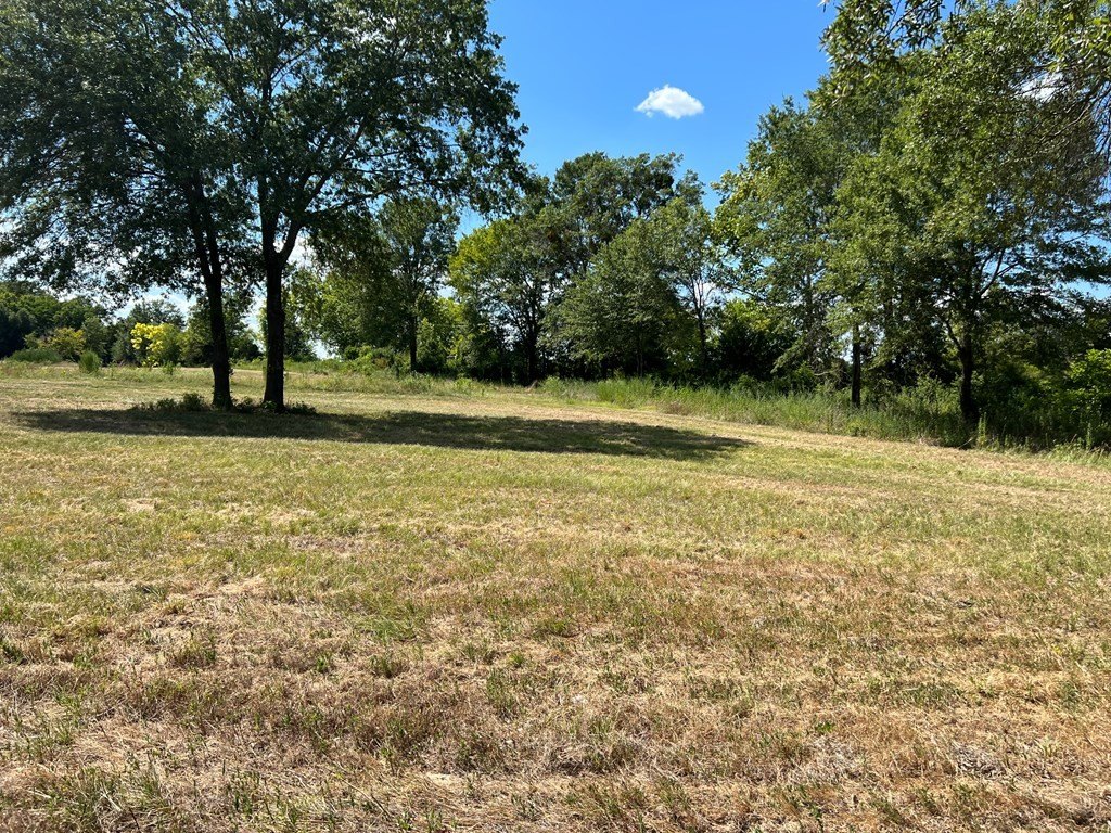 Picture 25