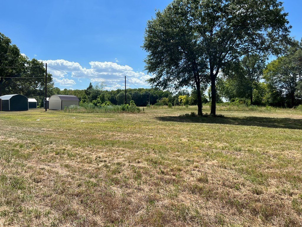 Picture 26