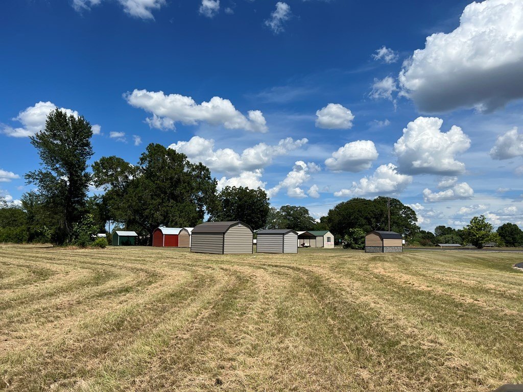 Picture 24