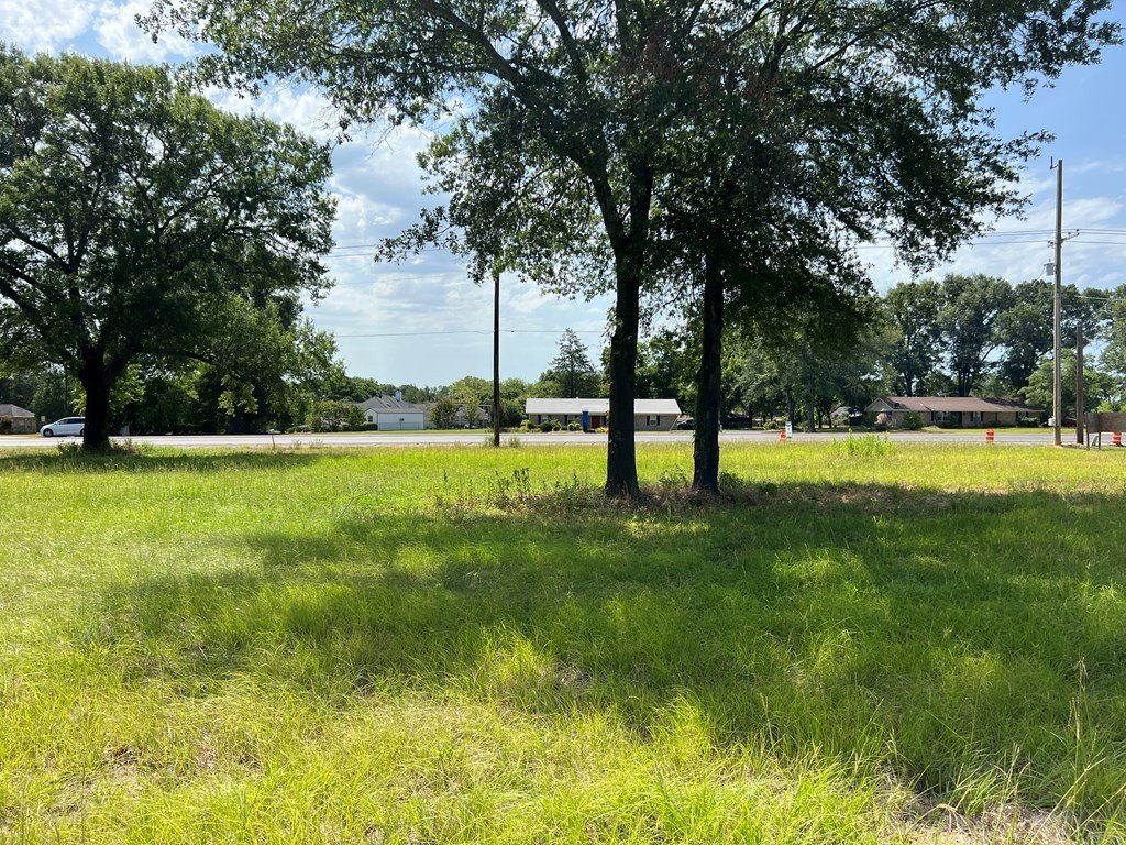 Picture 16