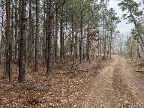Ozark Hideaway Land For Sale