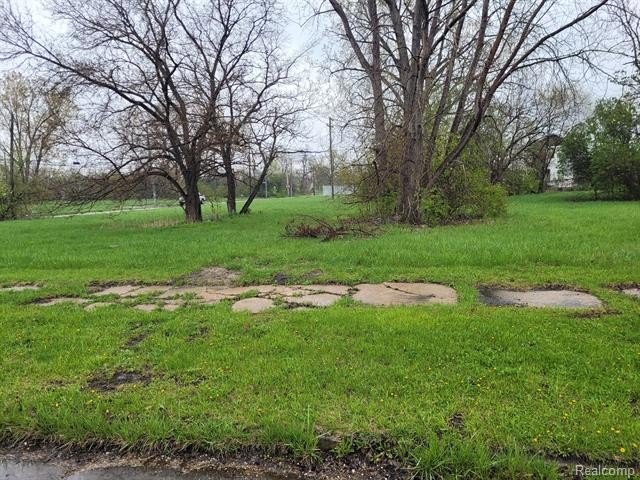 Picture 3