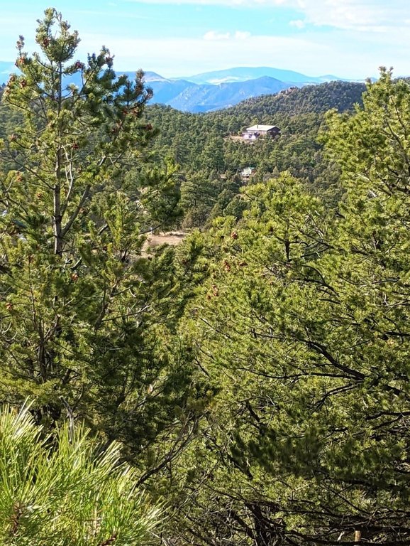 Picture 5