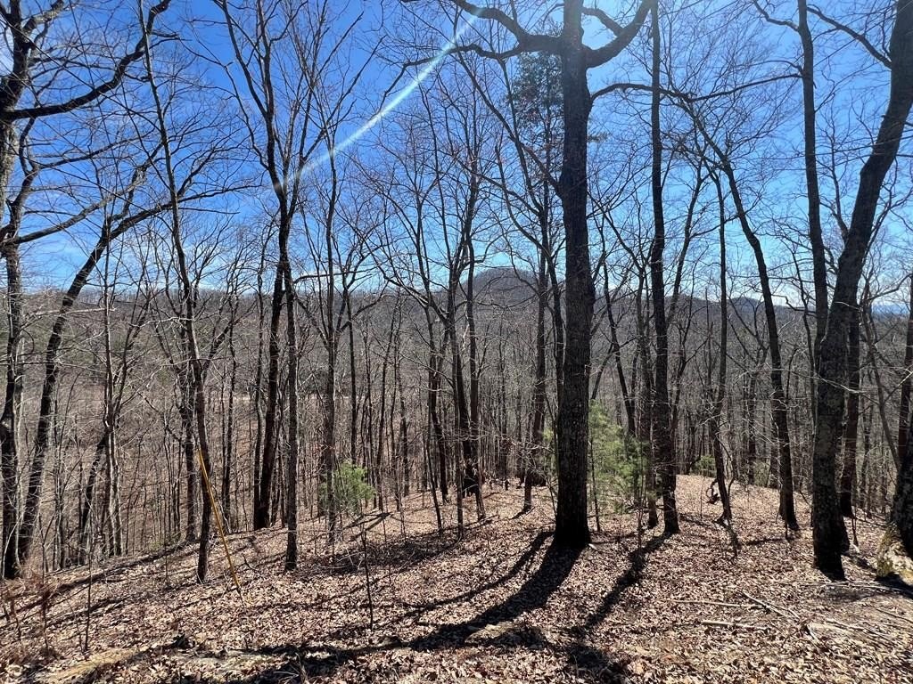 Land in Wolf Mountain Estates