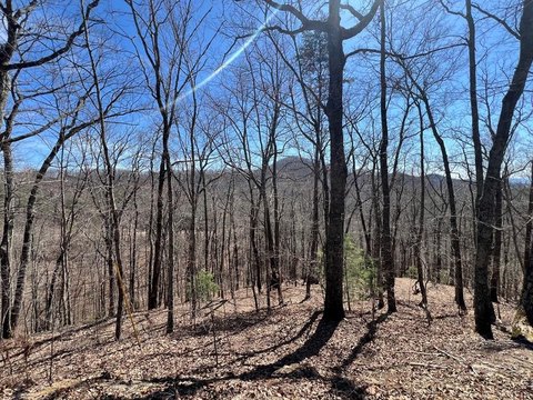 Land in Wolf Mountain Estates