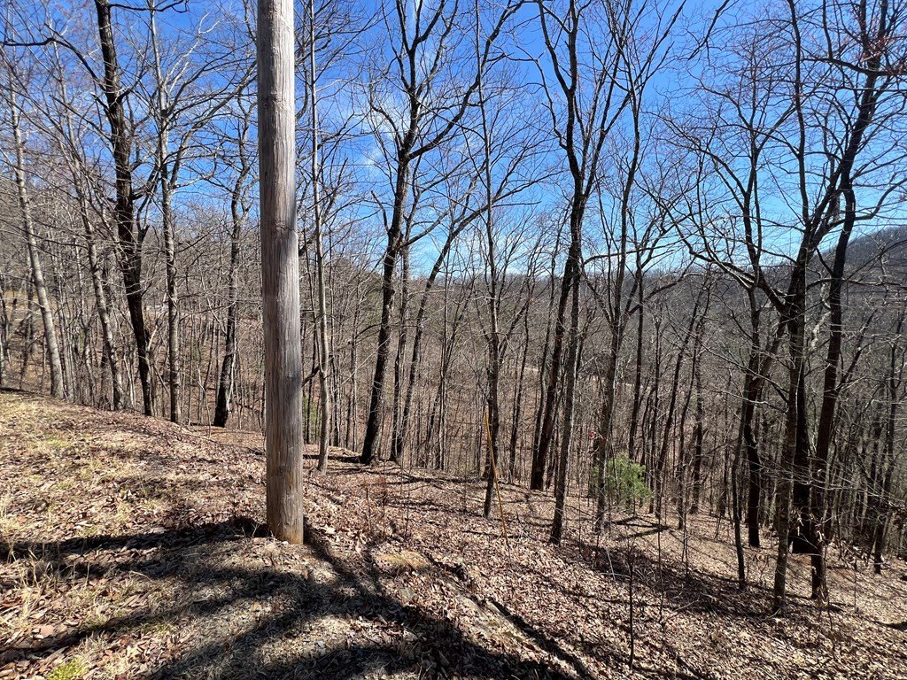 Picture 11