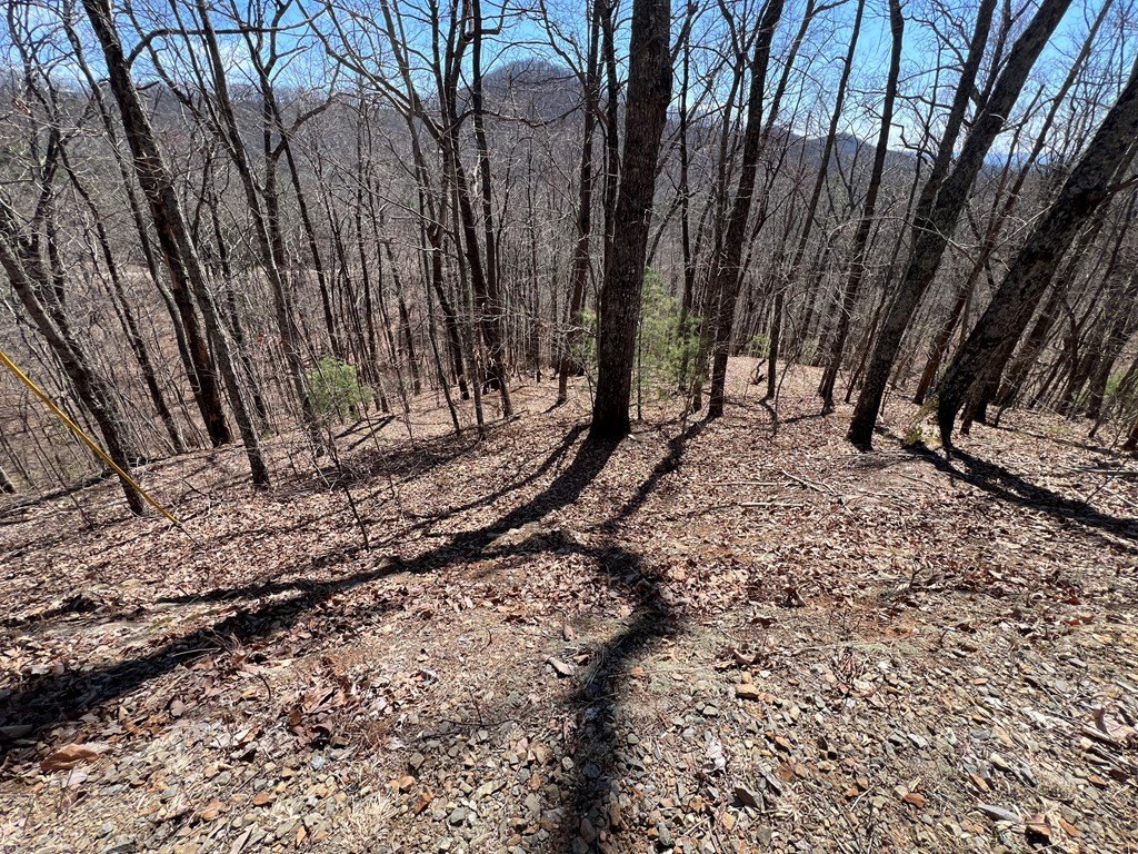 Picture 14