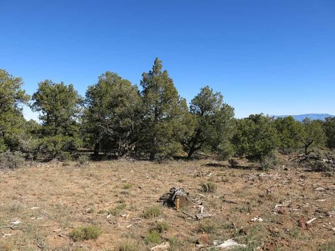 Land in Tres Piedras, NM