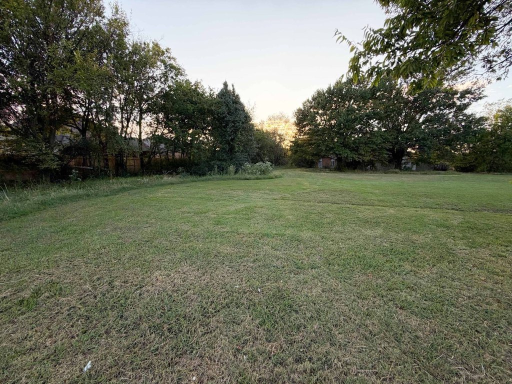 Picture 21