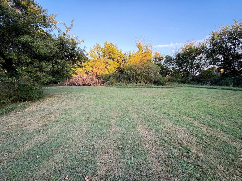 Picture 25